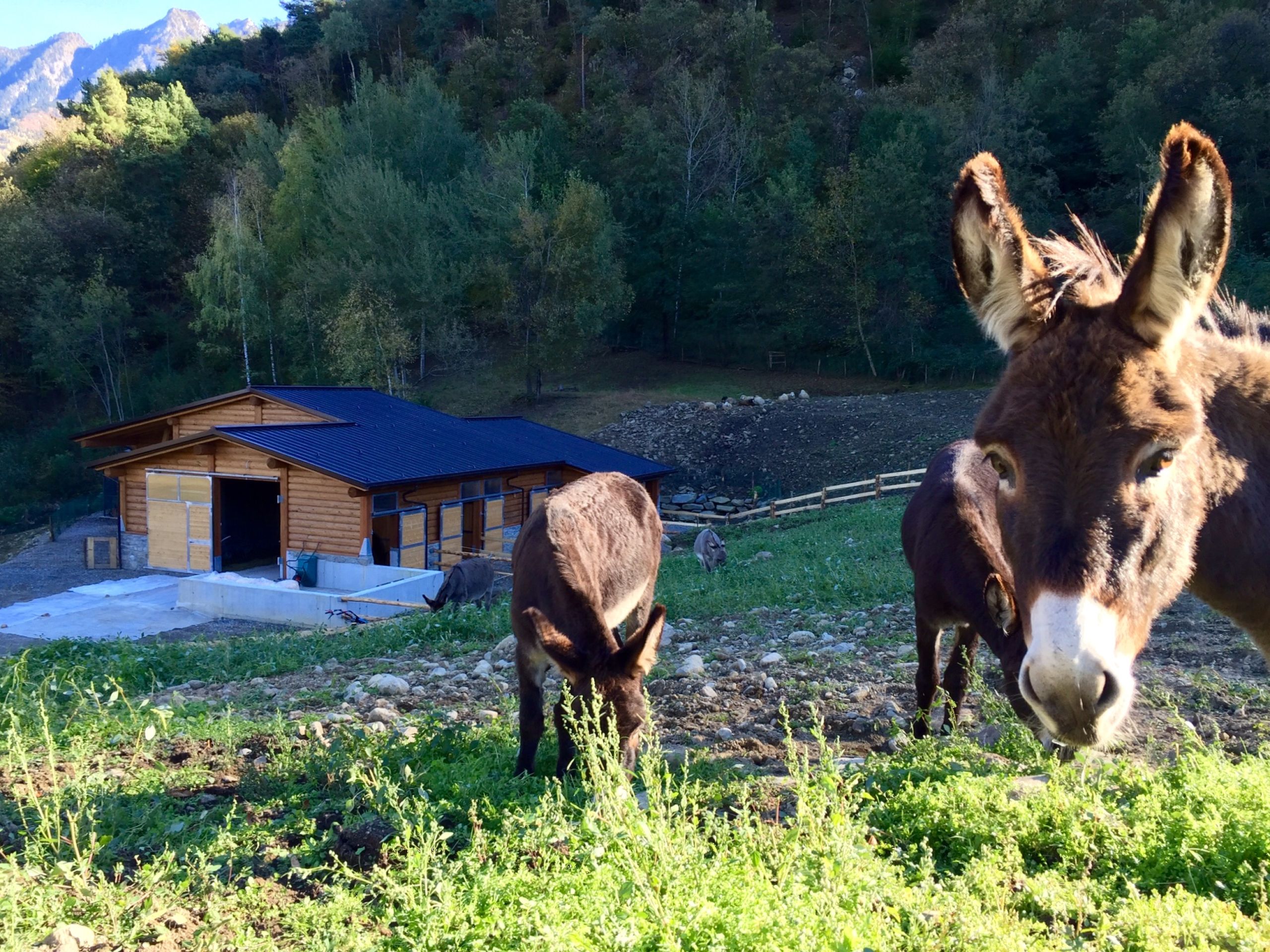 agriturismo ortesida